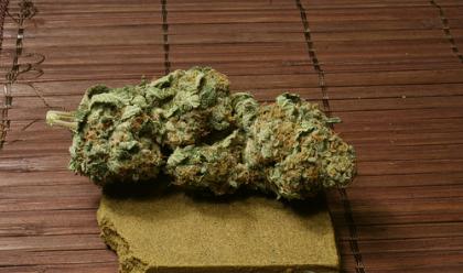 rimini-trovata-piantagione-di-cannabis-sequestrati-50-kg-di-droga