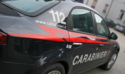 Immagine News - carabinieri-arrestano-due-rapinatori-della-banda-quotrenegade-biancaquot