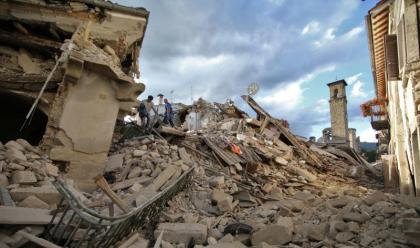 Immagine News - ravenna-per-le-aziende-colpite-dal-terremoto-partiti-150-quintali-di-fieno