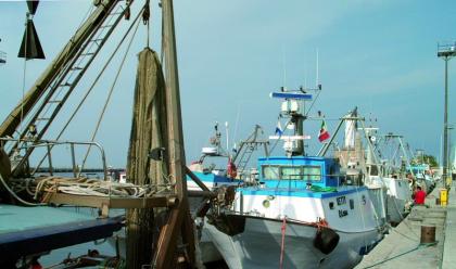 Immagine News - pesca-oggi-manifestazioni-nelle-marinerie-dellemilia-romagna.-i-pescatori-multe-insensate-a-rischio-il-settore-ittico