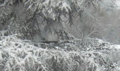 Immagine News - neve-scuole-aperte-sabato-3-marzo-a-ravenna-faenza-cervia-e-in-bassa-romagna