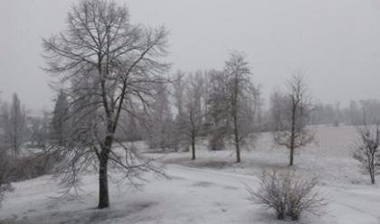 Immagine News - meteo-nevicate-da-bologna-alla-romagna-da-domenica-sera