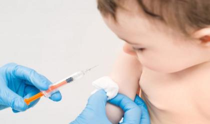 Immagine News - rimini-sanzioni-fino-a-500-euro-a-chi-porta-allasilo-i-figli-non-vaccinati
