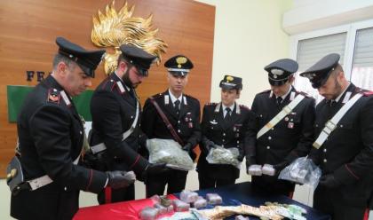 Immagine News - faenza-arrestato-25enne-dai-carabinieri-aveva-6-kg-di-fumo-e-15-di-marijuana