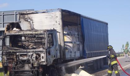 Immagine News - ravenna-incendio-al-vano-motore-devasta-un-camion.-salvo-il-conducente