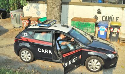 Immagine News - ravenna-cerca-di-scavalcare-la-recinzione-del-canile-bloccato-dai-carabinieri