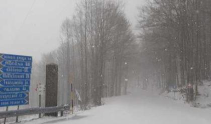 Immagine News - maltempo-in-regione-allerta-gialla-su-domenica-per-nevicate-anche-in-romagna