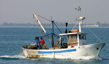 pesca-la-regione-condanna-le-minacce-contro-i-pescatori-di-cesenatico-e-chiede-al-governo-gli-indennizzi-per-il-settore