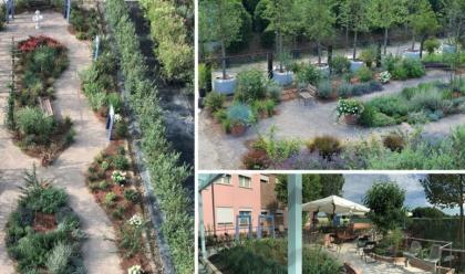 Immagine News - a-cesena-nel-2024-verr-realizzato-il-primo-giardino-terapeutico-per-i-malati-di-alzheimer
