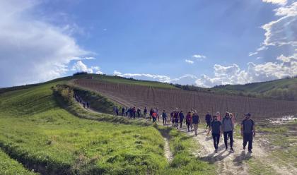 Immagine News - faenza-il-7-ottobre-un-wine-trekking-dautunno-a-oriolo-dei-fichi