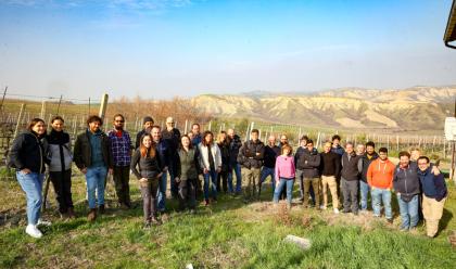 Immagine News - castrocaro-fino-al-21-febbraio-si-tiene-progettare-una-nuova-viticoltura-un-corso-di-formazione-per-vignaioli-fivi